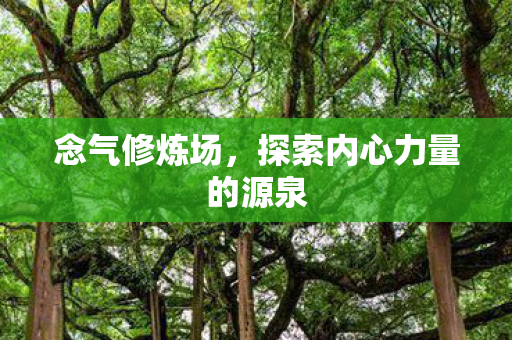 念气修炼场,探索内心力量的源泉 念气修炼场,探索内心力量的源泉