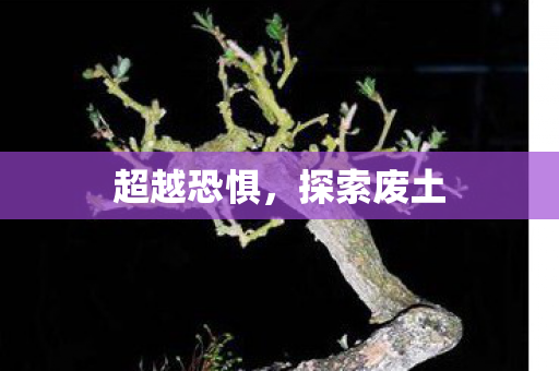 超越恐惧,探索废土 超越恐惧,探索废土