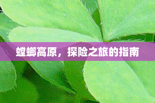 螳螂高原,探险之旅的指南 螳螂高原,探险之旅的指南