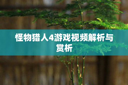 怪物猎人4游戏视频解析与赏析 怪物猎人4游戏视频解析与赏析