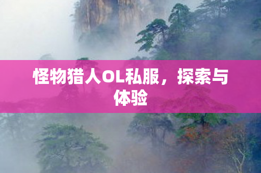 怪物猎人OL私服,探索与体验 怪物猎人OL私服,探索与体验