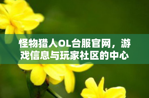 怪物猎人OL台服官网,游戏信息与玩家社区的中心 怪物猎人OL台服官网,游戏信息与玩家社区的中心