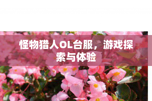 怪物猎人OL台服,游戏探索与体验 怪物猎人OL台服,游戏探索与体验