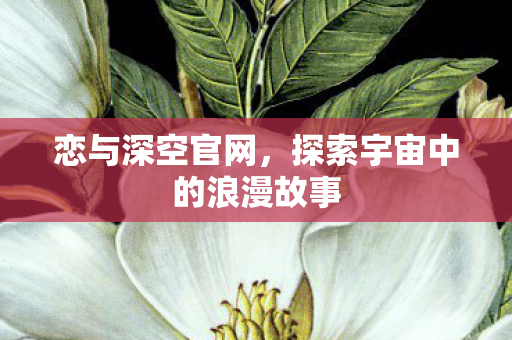 恋与深空官网,探索宇宙中的浪漫故事 恋与深空官网,探索宇宙中的浪漫故事