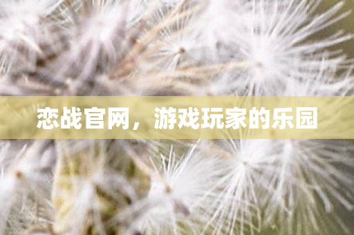 恋战官网,游戏玩家的乐园 恋战官网,游戏玩家的乐园