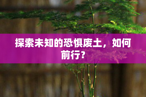探索未知的恐惧废土,如何前行? 探索未知的恐惧废土,如何前行?