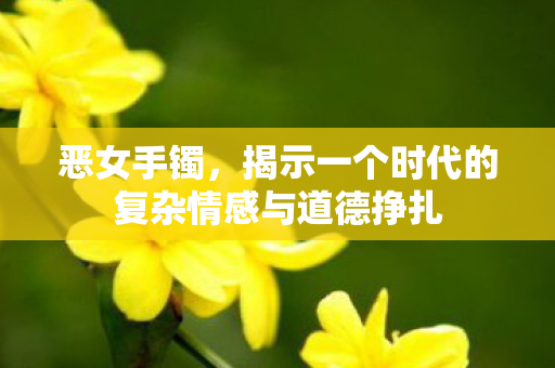 恶女手镯,揭示一个时代的复杂情感与道德挣扎 恶女手镯,揭示一个时代的复杂情感与道德挣扎