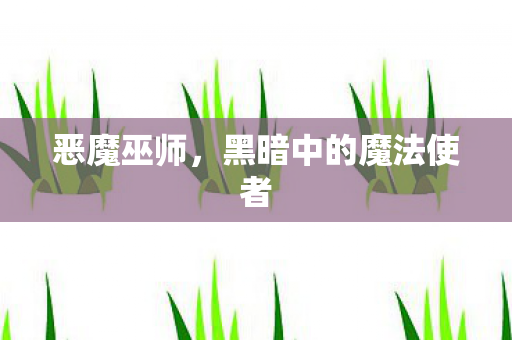 恶魔巫师，黑暗中的魔法使者