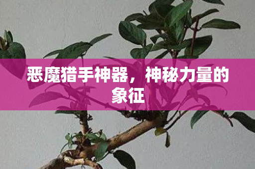 恶魔猎手神器,神秘力量的象征 恶魔猎手神器,神秘力量的象征