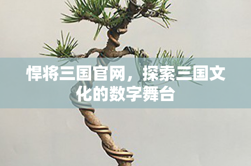 悍将三国官网,探索三国文化的数字舞台 悍将三国官网,探索三国文化的数字舞台