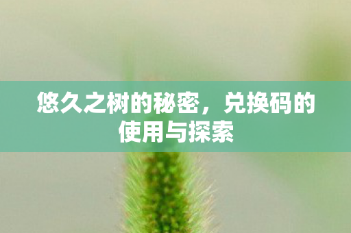 悠久之树的秘密,兑换码的使用与探索 悠久之树的秘密,兑换码的使用与探索