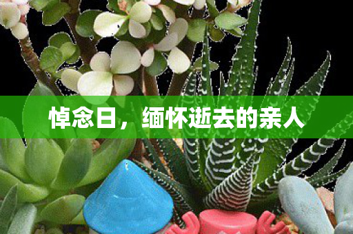 悼念日,缅怀逝去的亲人 悼念日,缅怀逝去的亲人