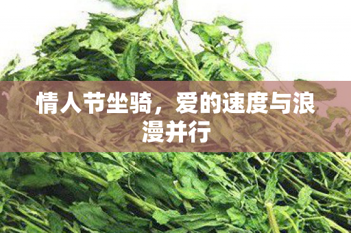 情人节坐骑,爱的速度与浪漫并行 情人节坐骑,爱的速度与浪漫并行