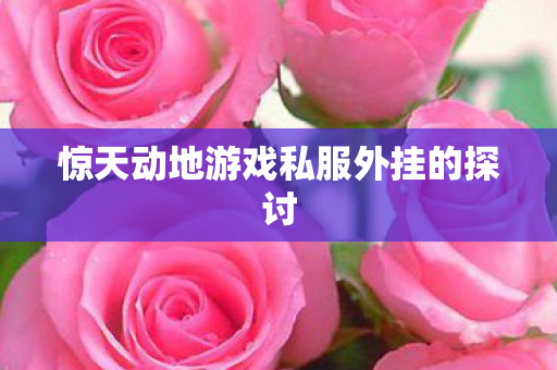惊天动地游戏私服外挂的探讨 惊天动地游戏私服外挂的探讨