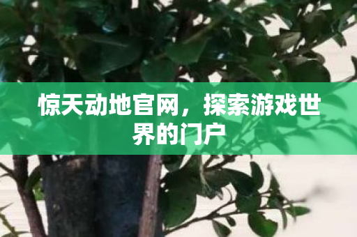 惊天动地官网,探索游戏世界的门户 惊天动地官网,探索游戏世界的门户