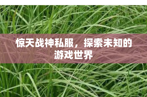 惊天战神私服,探索未知的游戏世界 惊天战神私服,探索未知的游戏世界