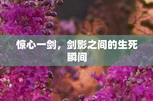惊心一剑,剑影之间的生死瞬间 惊心一剑,剑影之间的生死瞬间