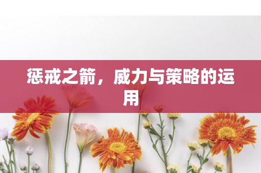 惩戒之箭,威力与策略的运用 惩戒之箭,威力与策略的运用