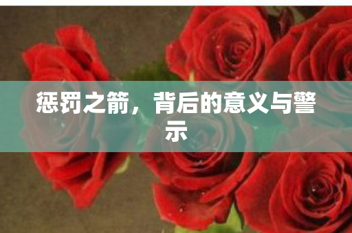 惩罚之箭,背后的意义与警示 惩罚之箭,背后的意义与警示