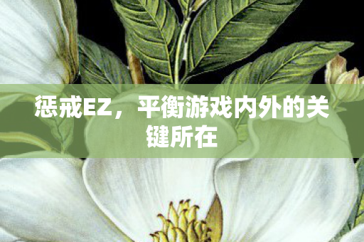 惩戒EZ,平衡游戏内外的关键所在 惩戒EZ,平衡游戏内外的关键所在