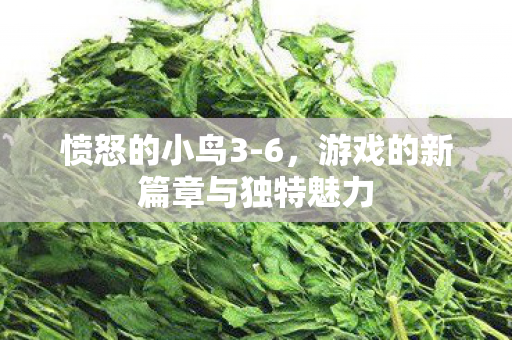 愤怒的小鸟3-6,游戏的新篇章与独特魅力 愤怒的小鸟3-6,游戏的新篇章与独特魅力
