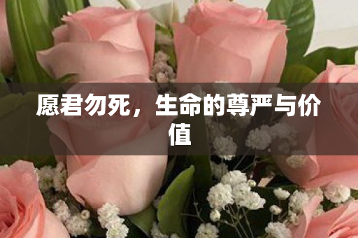 愿君勿死，生命的尊严与价值