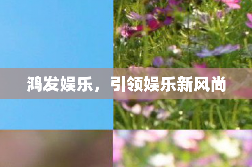 鸿发娱乐,引领娱乐新风尚 鸿发娱乐,引领娱乐新风尚