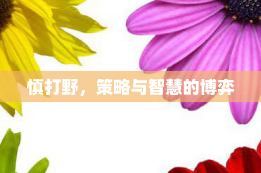 慎打野,策略与智慧的博弈 慎打野,策略与智慧的博弈
