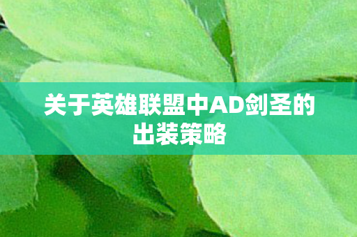 关于英雄联盟中AD剑圣的出装策略