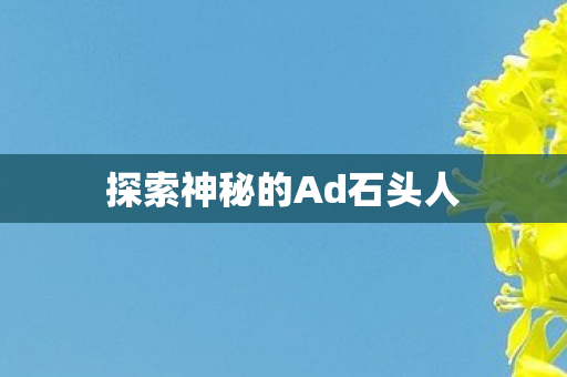 探索神秘的Ad石头人 探索神秘的Ad石头人