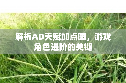 解析AD天赋加点图，游戏角色进阶的关键