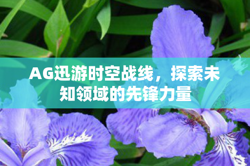 AG迅游时空战线,探索未知领域的先锋力量 AG迅游时空战线,探索未知领域的先锋力量