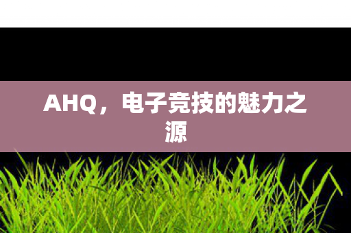 AHQ,电子竞技的魅力之源 AHQ,电子竞技的魅力之源
