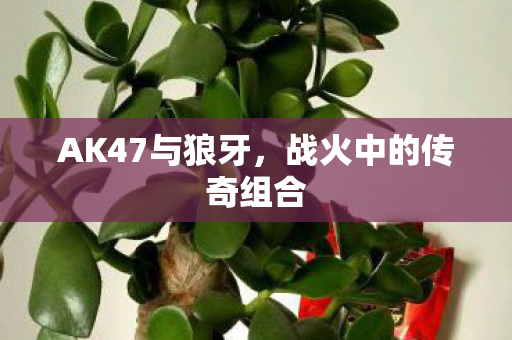 AK47与狼牙,战火中的传奇组合 AK47与狼牙,战火中的传奇组合