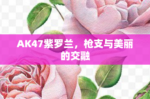 AK47紫罗兰，枪支与美丽的交融