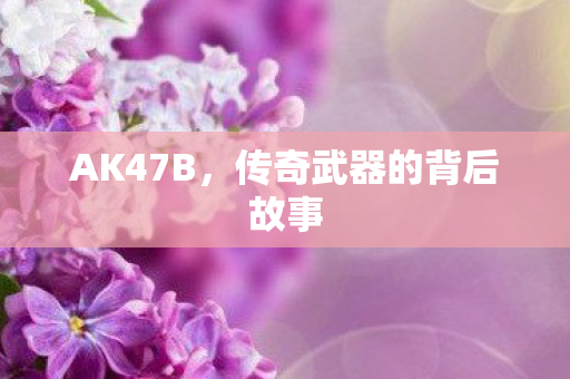 AK47B,传奇武器的背后故事 AK47B,传奇武器的背后故事
