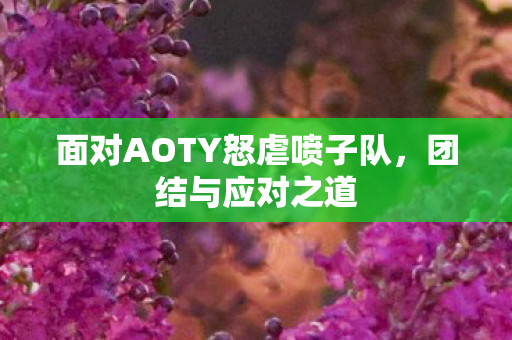 面对AOTY怒虐喷子队,团结与应对之道 面对AOTY怒虐喷子队,团结与应对之道