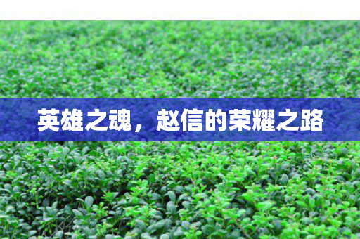 英雄之魂,赵信的荣耀之路 英雄之魂,赵信的荣耀之路