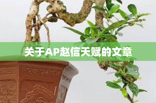 关于AP赵信天赋的文章 关于AP赵信天赋的文章