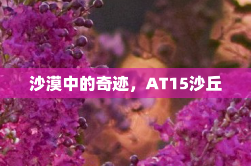 沙漠中的奇迹,AT15沙丘 沙漠中的奇迹,AT15沙丘