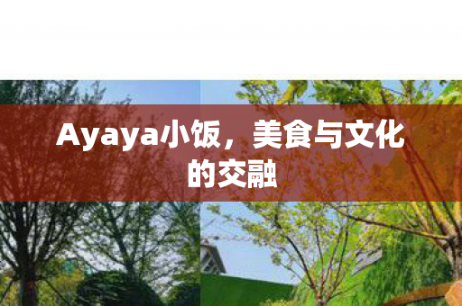 Ayaya小饭,美食与文化的交融 Ayaya小饭,美食与文化的交融