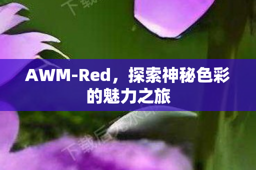 AWM-Red,探索神秘色彩的魅力之旅 AWM-Red,探索神秘色彩的魅力之旅