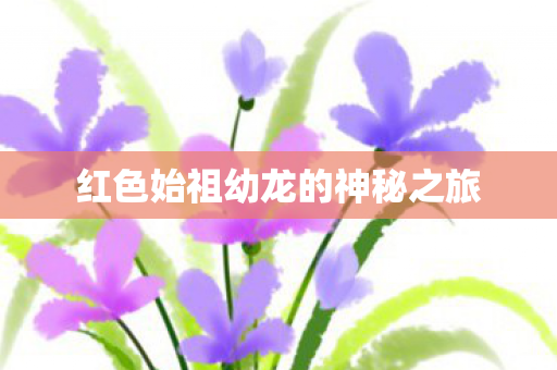 红色始祖幼龙的神秘之旅 红色始祖幼龙的神秘之旅