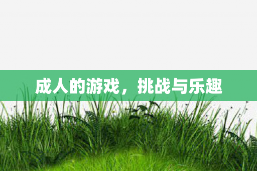 成人的游戏，挑战与乐趣
