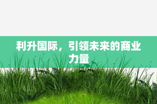 利升国际,引领未来的商业力量 利升国际,引领未来的商业力量