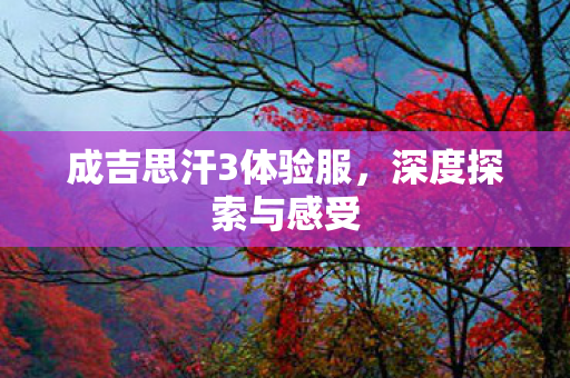 成吉思汗3体验服,深度探索与感受 成吉思汗3体验服,深度探索与感受