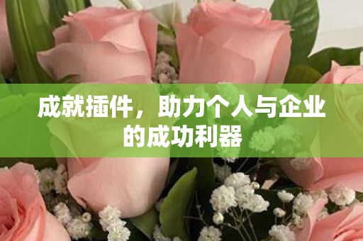 成就插件，助力个人与企业的成功利器