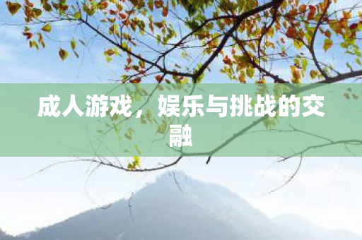 成人游戏,娱乐与挑战的交融 成人游戏,娱乐与挑战的交融
