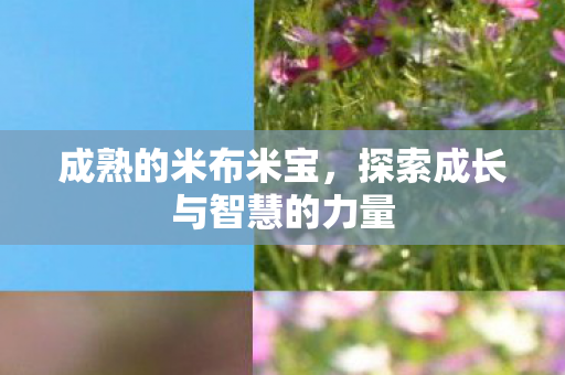 成熟的米布米宝，探索成长与智慧的力量