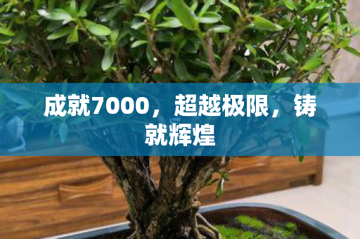 成就7000,超越极限,铸就辉煌 成就7000,超越极限,铸就辉煌
